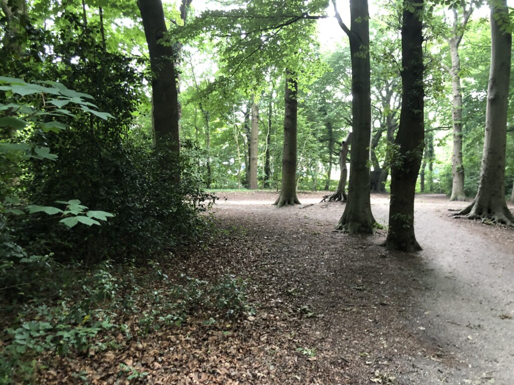 veelgestelde vragen over powerwalken